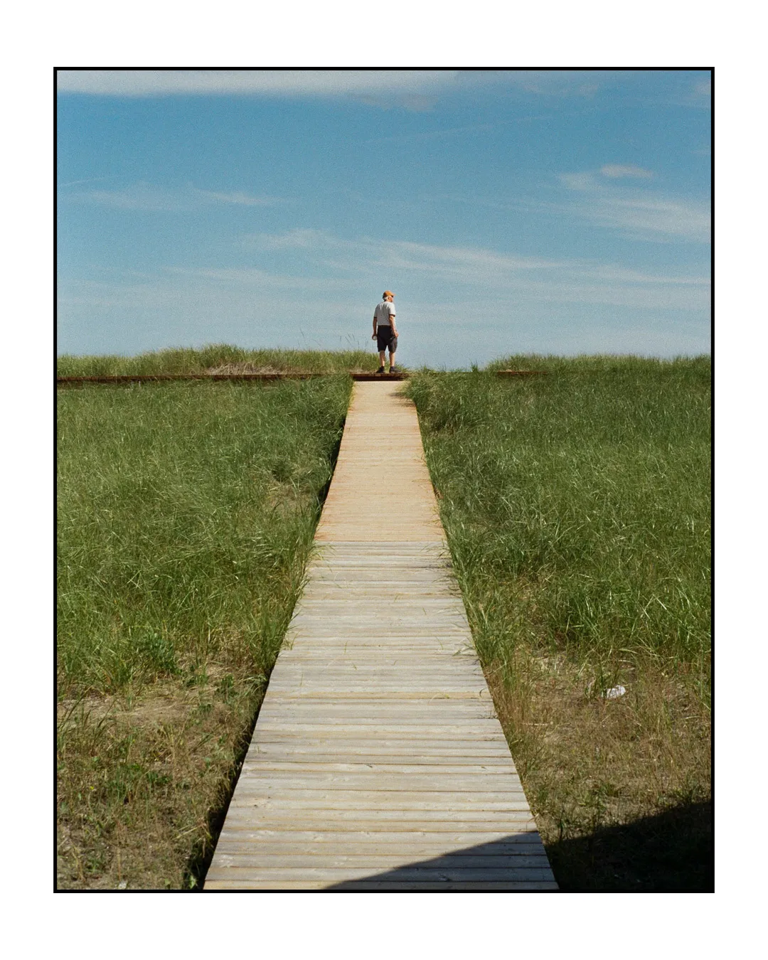 man on a wood path
