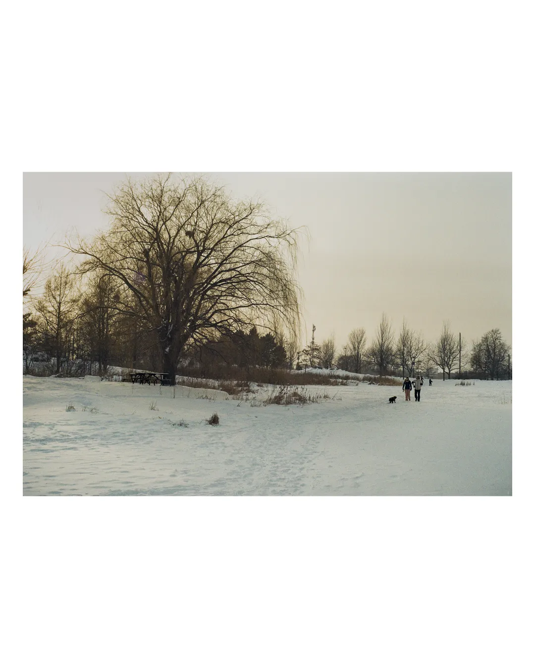 snowy lake.